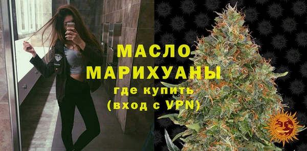 шишки Каменка