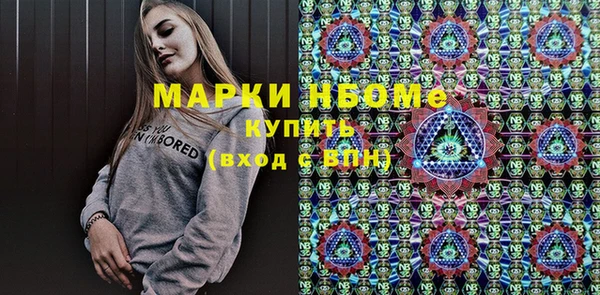 шишки Каменка