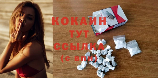 шишки Каменка
