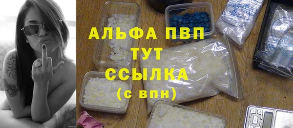 шишки Каменка