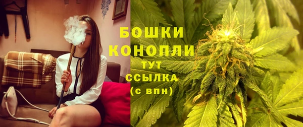шишки Каменка