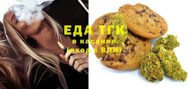 шишки Каменка