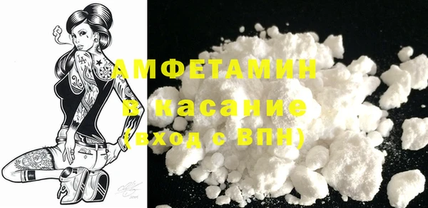 шишки Каменка