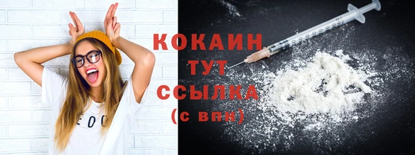 шишки Каменка