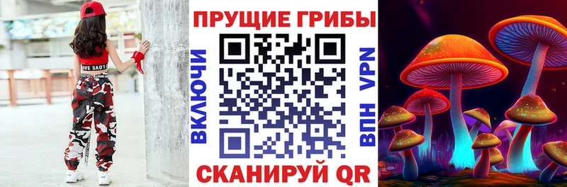 Псилоцибиновые грибы GOLDEN TEACHER  Купить  Саянск 